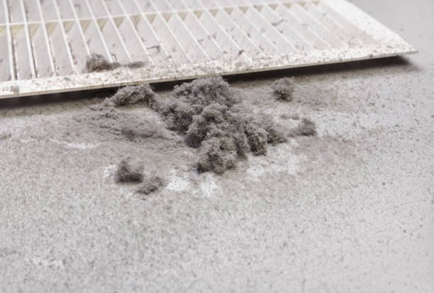 Best Professional Duct Cleaning Services  in Warminster Heights, PA
